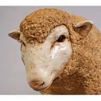 Schaap beeld 96 cm - schapenbeeld, Ophalen, Nieuw