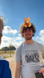 Mens, in desperate need of girlfriend, Contacten en Berichten