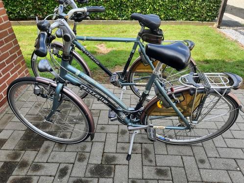 Gazelle Fietsen dames heren, Vélos & Vélomoteurs, Vélos | Hommes | Vélos de sport & Vélo de randonnée, Utilisé, Gazelle, 53 à 57 cm