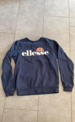Elesse sweater, Kinderen en Baby's, Kinderkleding | Maat 164, Jongen of Meisje, Trui of Vest, Ophalen of Verzenden, Zo goed als nieuw
