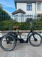 Tricycle à assistance électrique - Easy Rider Proxy, Vélos & Vélomoteurs, Casques de cyclomoteur, Comme neuf