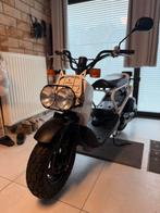 Honda ZOOMER, Fietsen en Brommers, Scooters | Overige merken, Ophalen, Gebruikt, 49 cc, Klasse B (45 km/u)