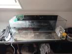 Moeten snel weg!!, Dieren en Toebehoren, Vissen | Aquaria en Toebehoren, Ophalen, Gebruikt, Leeg aquarium