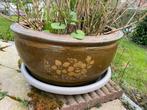 Grote terra cotta bloempot diameter 57cm, Tuin en Terras, Ophalen, Zo goed als nieuw