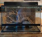 Exo terra terrarium 90x45x60 + andere benodigdheden, Dieren en Toebehoren, Ophalen, Zo goed als nieuw, Terrarium of Paludarium