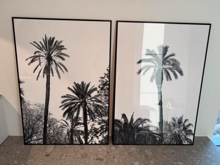 Prints david david studio palmbomen, Antiek en Kunst, Kunst | Schilderijen | Modern, Ophalen