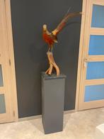 Faisan en peluche de taxidermie/faisan doré, Enlèvement, Comme neuf