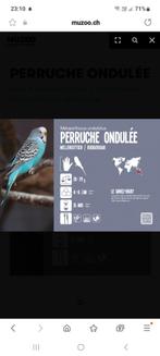 perruches ondulées, Animaux & Accessoires, Oiseaux | Cages & Volières, Enlèvement, Volière
