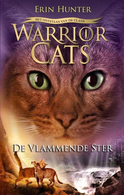 de vlammende ster  (2290), Boeken, Kinderboeken | Jeugd | 13 jaar en ouder, Zo goed als nieuw, Fictie, Ophalen of Verzenden