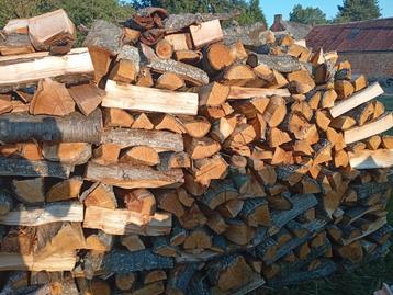 Bois de chauffage sec, mélange de bois dur. beschikbaar voor biedingen
