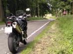 Triumph Tiger 1050, Motoren, Motoren | Triumph, 3 cilinders, Particulier, 1050 cc