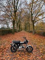 Dax 50cc B klasse, Fietsen en Brommers, Brommers | Honda, Ophalen, Overige modellen, Nieuw, Klasse B (45 km/u)