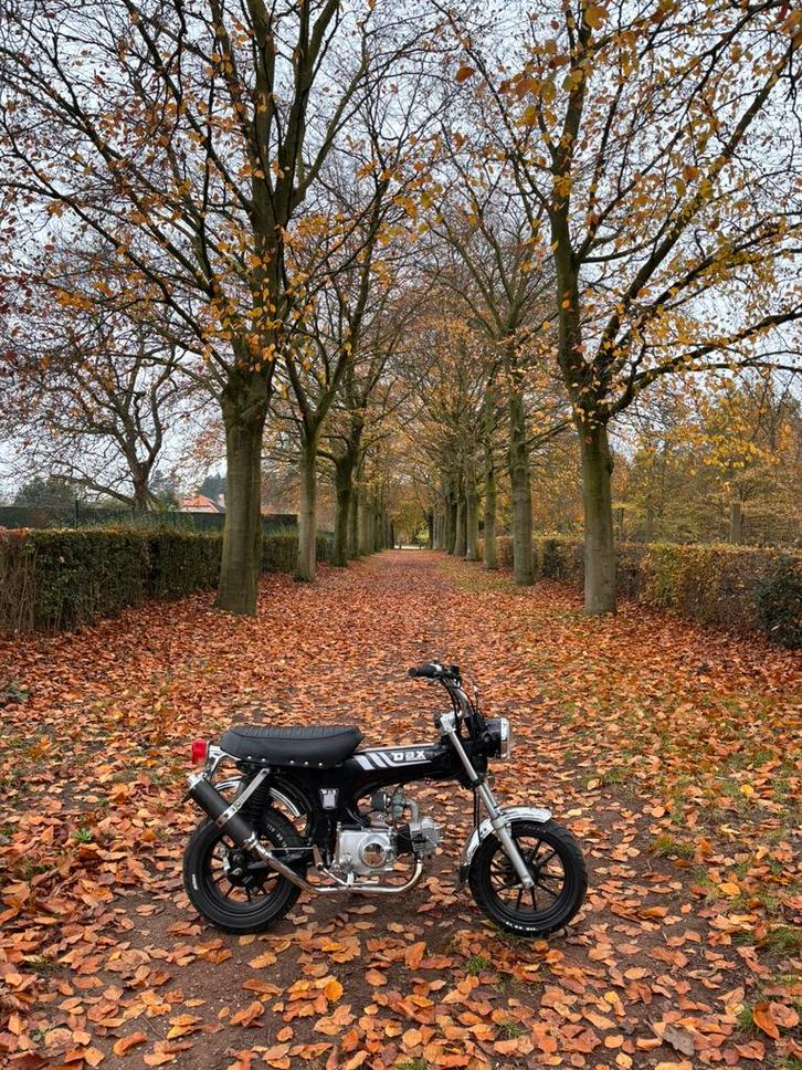 Dax 50cc B klasse, Fietsen en Brommers, Brommers | Honda, Nieuw, Overige modellen, Klasse B (45 km/u), Ophalen