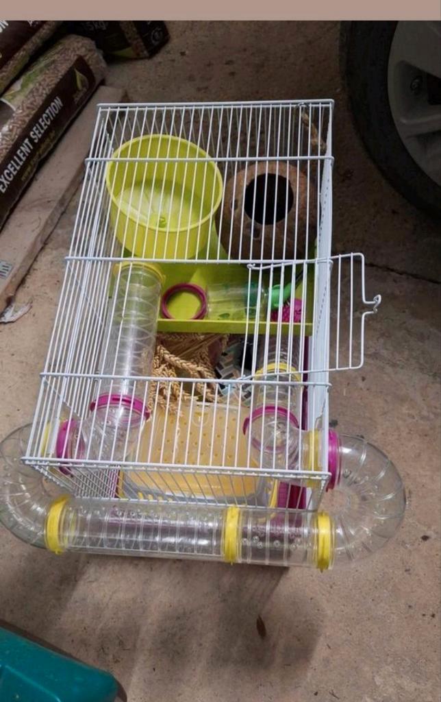 Hamster/muizen kooi met toebehoren (starterset), Dieren en Toebehoren, Knaagdieren en Konijnen | Hokken en Kooien, Kooi, Hamster