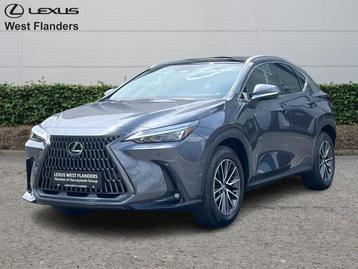 Lexus NX 450h+ Executive Line+360cam+navi+se  beschikbaar voor biedingen