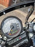 Forthy Eight, Motoren, Motoren | Harley-Davidson, Particulier