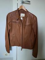 Bruine lederjas JBC maat L, Kleding | Dames, Ophalen of Verzenden, Maat 42/44 (L)