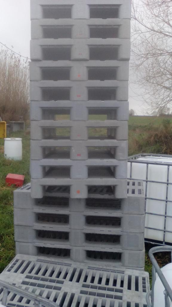 grijze H1+andere PVC-plastiek-plastic-IBC-kunststof pallets, Zakelijke goederen, Horeca | Food, Ophalen