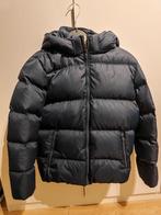 Tommy Hilfiger, Kleding | Dames, Jassen | Winter, Ophalen of Verzenden, Zo goed als nieuw, Blauw