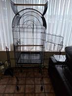 Zeer grote papegaai kooi, Dieren en Toebehoren, Papegaai