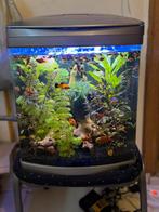 Aquaruim, Ophalen, Zo goed als nieuw