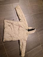 Snowboard/winter jas, Sports & Fitness, Snowboard, Enlèvement, Utilisé, Vêtements