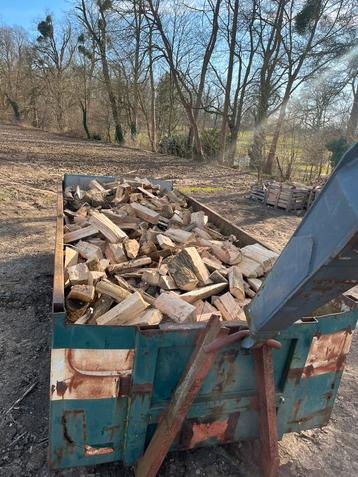 Brandhout eik Ess beuk  beschikbaar voor biedingen