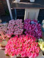 Wie kan mij helpen met het vervoer van bloemen naar de markt, Tuin en Terras, Planten | Tuinplanten, Ophalen of Verzenden