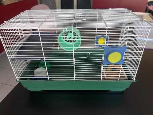 dierenkooien, Animaux & Accessoires, Rongeurs & Lapins | Cages & Clapiers, Utilisé, Cage, Moins de 60 cm, Moins de 75 cm, Cobaye