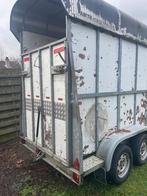 bcw trailer paarden, Dieren en Toebehoren, Paarden en Pony's | Trailers en Aanhangwagens, Ophalen, Gebruikt, Hout, 1½-paards trailer