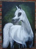 olieschilderij Arabisch paard (BR 50 cm X H 70 cm), Antiek en Kunst, Ophalen