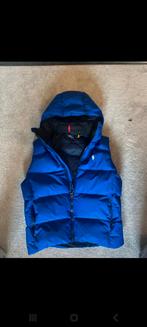 Ralph Lauren bodywarmer, Vêtements | Hommes, Blousons sans Manches, Neuf, Ralph Lauren, Taille 52/54 (L), Enlèvement