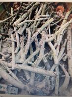 Droog brandhout kan meteen gebruikt worden, Tuin en Terras, Brandhout, 6 m³ of meer, Ophalen, Overige houtsoorten, Takken