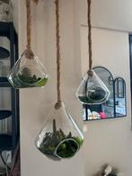Lot de 3 pots suspendus en verre –, Ophalen, Zo goed als nieuw