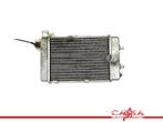 RADIATEUR Aprilia RSV 1000 (R) Mille 1998-2003 (RSV1000), Motoren, Gebruikt