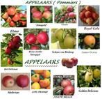 LAAGSTAM APPELBOMEN oa "RED DELICIOUS", 17€/Stuk, Tuin en Terras, Planten | Tuinplanten, Volle zon, Vaste plant, Ophalen of Verzenden