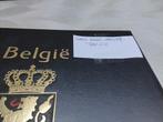 BELGIQUE disponible album DAVO LUXE 1995/99, Timbres & Monnaies, Timbres | Accessoires, Enlèvement ou Envoi