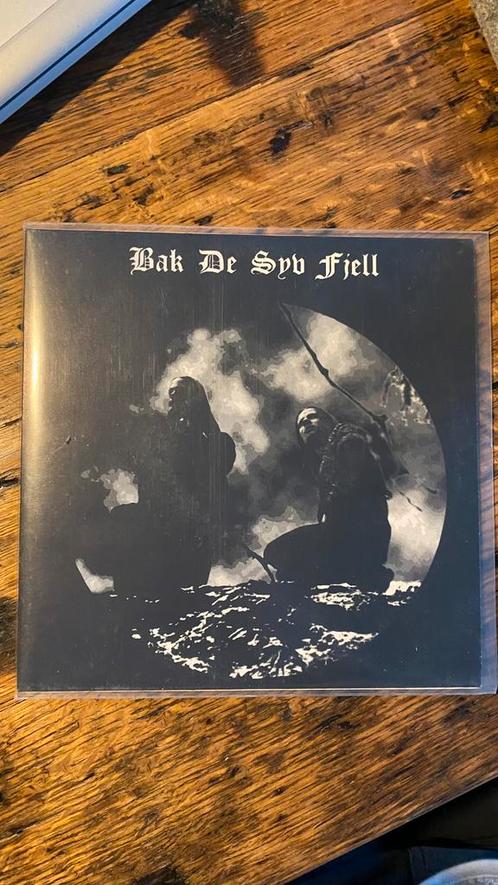 Bak De Syv Fjell - Wardruna - Einar Selvik, CD & DVD, Vinyles | Hardrock & Metal, Comme neuf