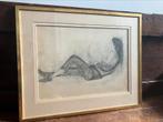 Dessin Marcel Delmotte - Crayon, Antiek en Kunst, Ophalen