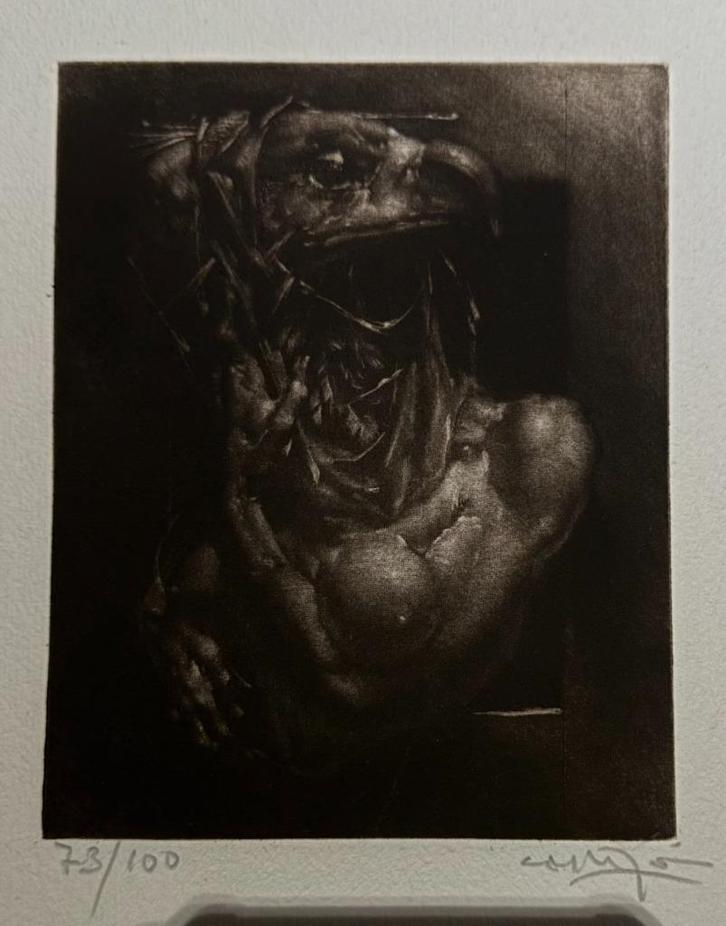 Engraving by Joan Castejon, signed and numbered 73/100,1980, Collections, Collections Autre, Neuf, Enlèvement