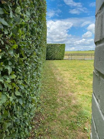 Parc et jardin beschikbaar voor biedingen