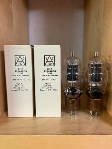 1624 Zendbuizen paar beschikbaar voor biedingen