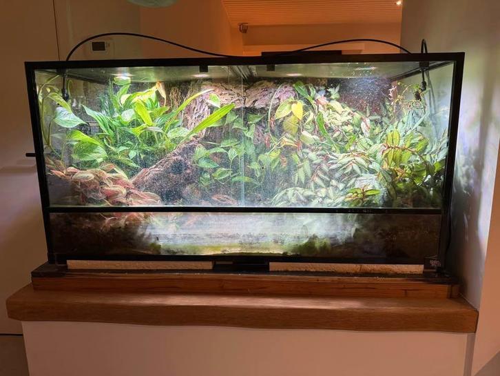 Ingericht Paludarium, Animaux & Accessoires, Reptiles & Amphibiens | Accessoires, Utilisé, Terrarium ou Paludarium, Enlèvement