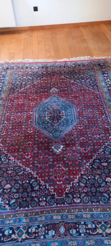 Tapis persan, 200 cm ou plus, Rouge, 150 à 200 cm, Enlèvement