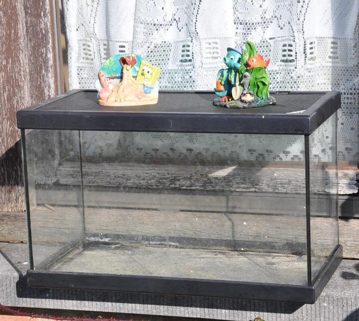 aquarium rectangulaire de 19 litres + deux decos, Dieren en Toebehoren, Vissen | Aquaria en Toebehoren, Gebruikt, Leeg aquarium