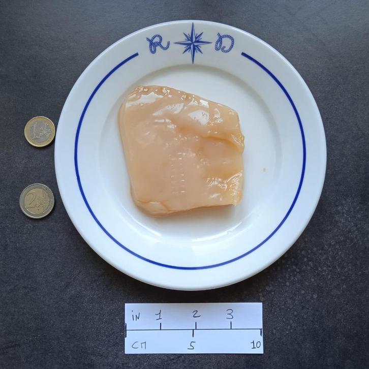 Kombucha SCOBY + Starter (herstelvloeistof) 200 g, Diversen, Levensmiddelen, Verzenden