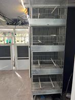 Kweek kooi, Dieren en Toebehoren, Ophalen, Zo goed als nieuw