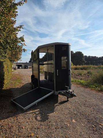 Paardentrailer Ifor Williams HB511 – 2017 – Vooruitloop... beschikbaar voor biedingen