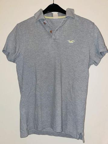 Polo Hollister - small beschikbaar voor biedingen
