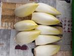 Witloof, Zakelijke goederen, Landbouw | Aardappelen, Groenten, Fruit en Vlees, Ophalen